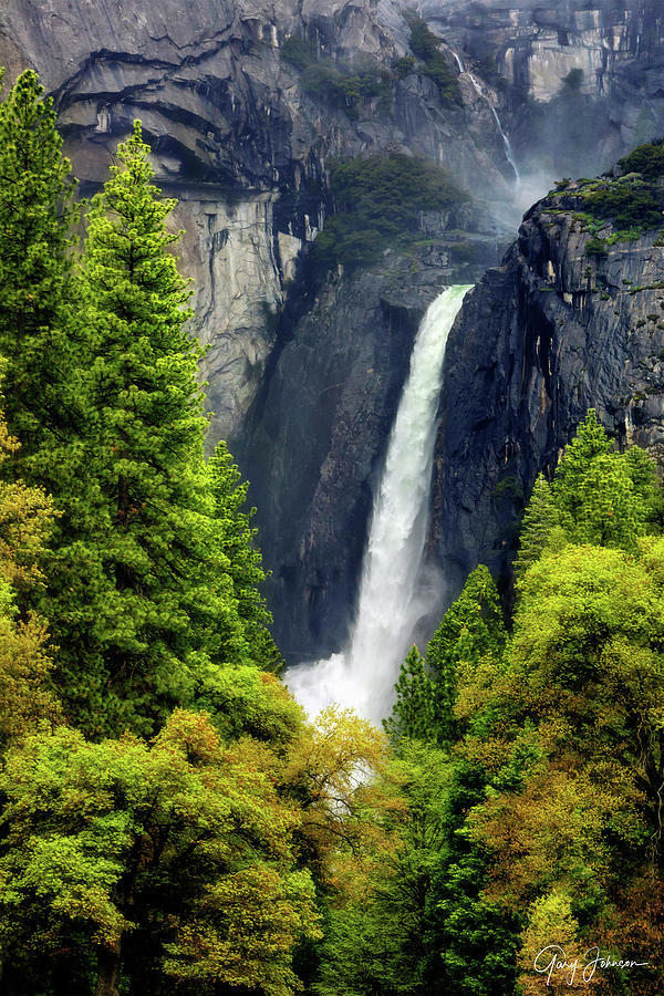 Lower Yosemite Falls Photograph by Gary Johnson