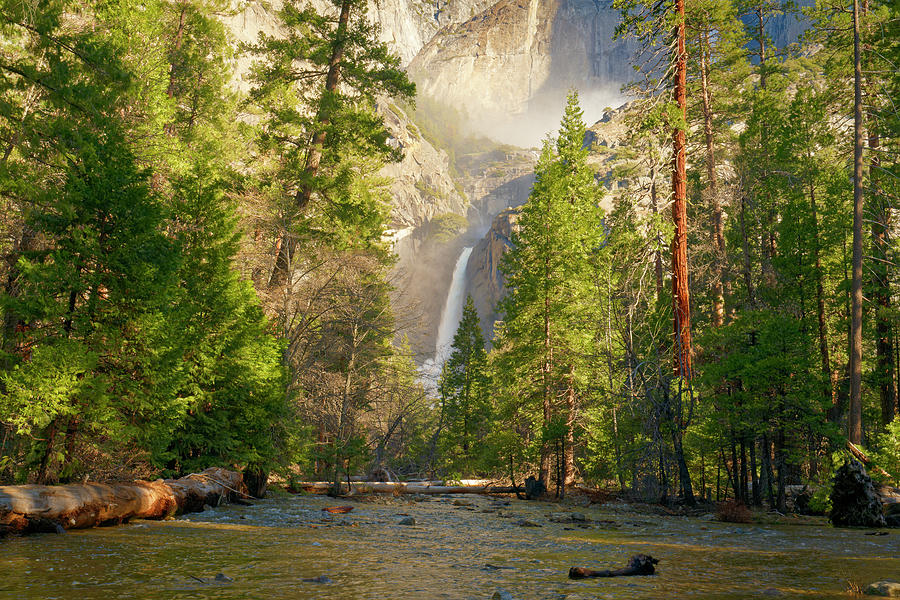 Lower Yosemite Falls Photograph by Jonathan Davison
