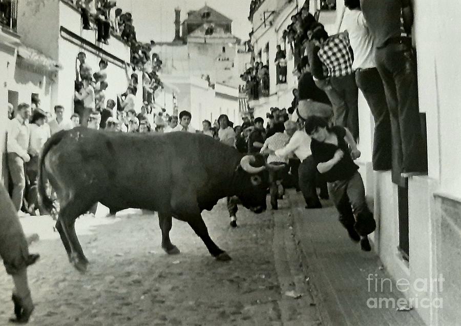 LOWRES Running of the Bulls-Acros 1970s Photograph by Tony Lee
