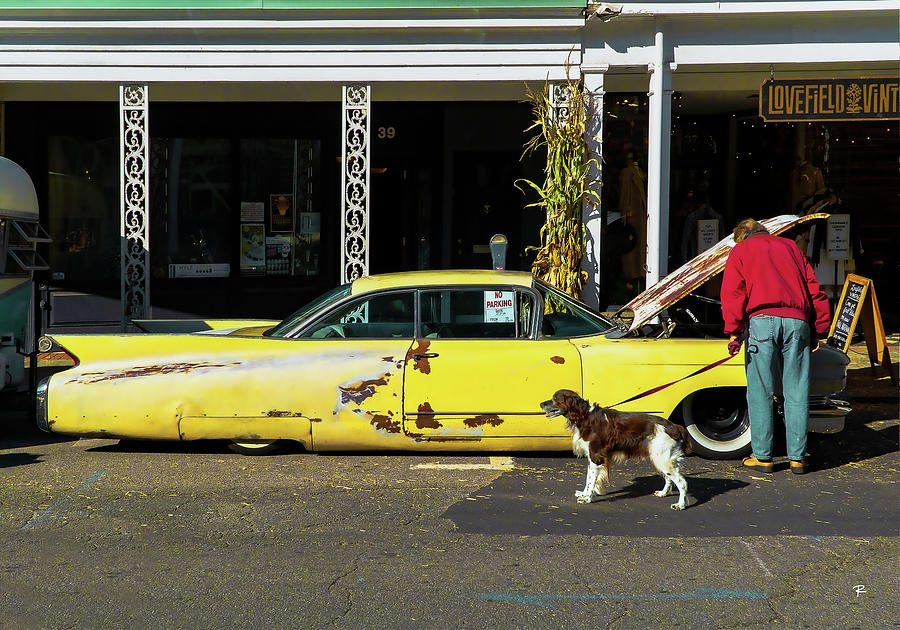 Lowrider and Dog Photograph by Tom Romeo
