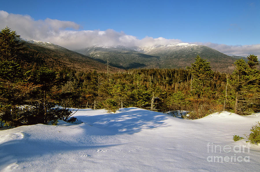 Lows Bald Spot - Mt Washington, New Hampshire Photograph by Erin Paul Donovan