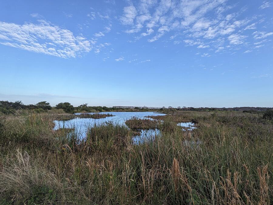 Loxahatchee wildlife refuge Photograph by David McKinney Loxahatchee wildlife refuge Photograph by David McKinney
