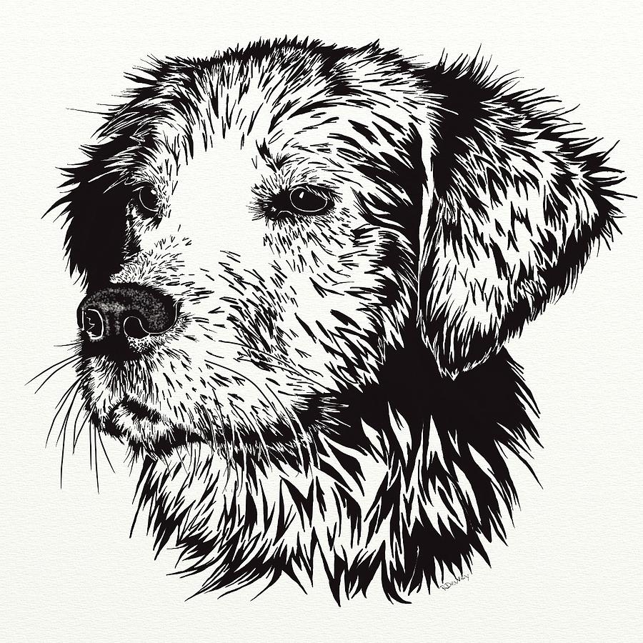 Dog Digital Art - Loyal friend  by Ronni Dewey