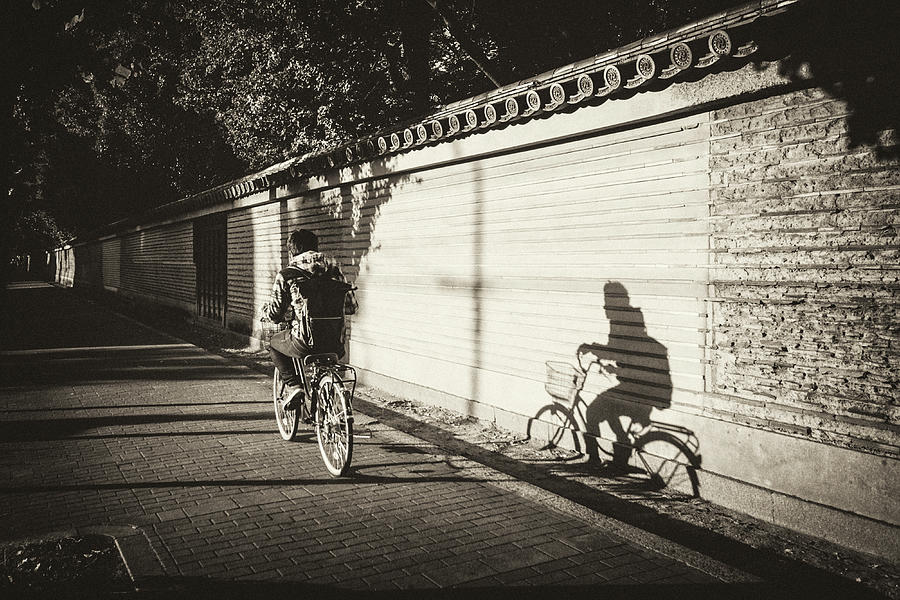 Loyal Shadow Photograph by Sinsee Ho