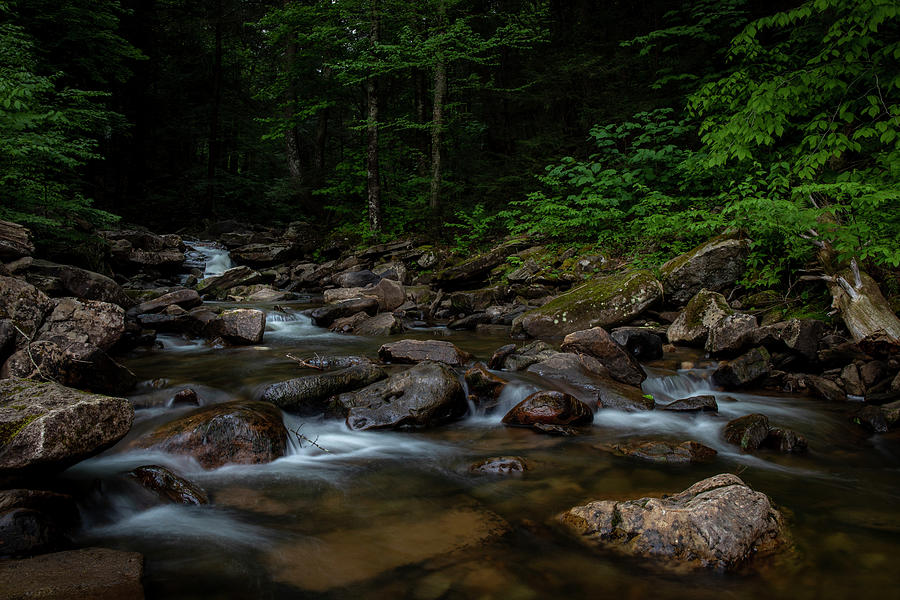 Loyalsock State Forest Cascades Photograph by Dan Sproul
