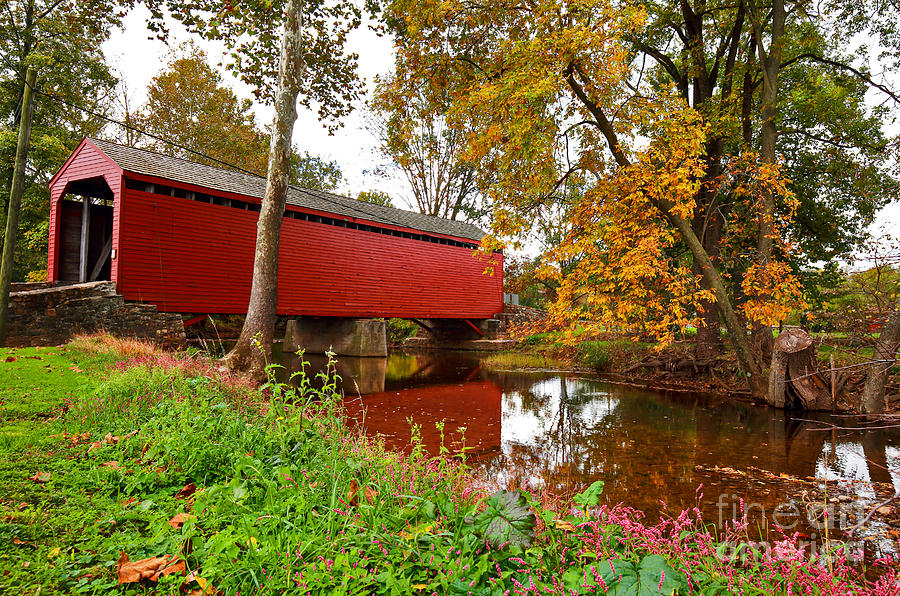 Loys Station Covered Bridge in Autumn Photograph by SCB Captures