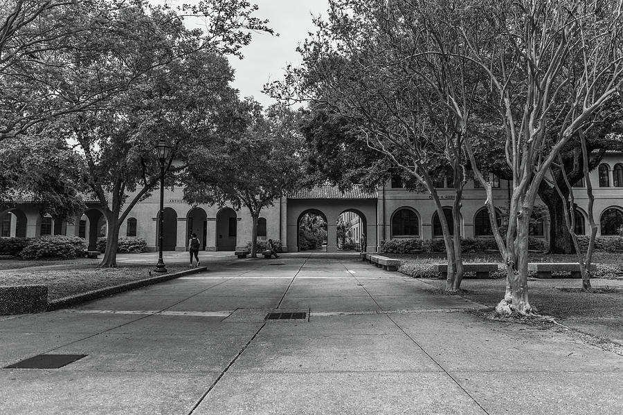 LSU Quad during the day Black and White  Photograph by John McGraw