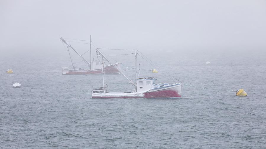 Lubec Twins Photograph by Colin Chase