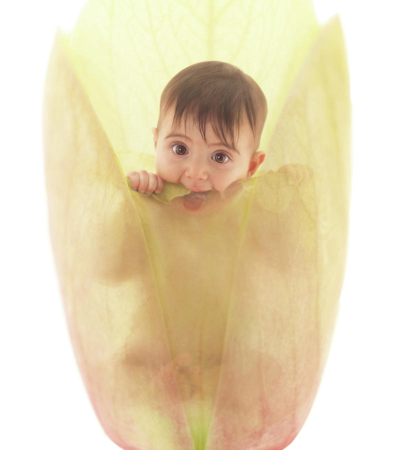 Luce in Flower Bud Photograph by Anne Geddes