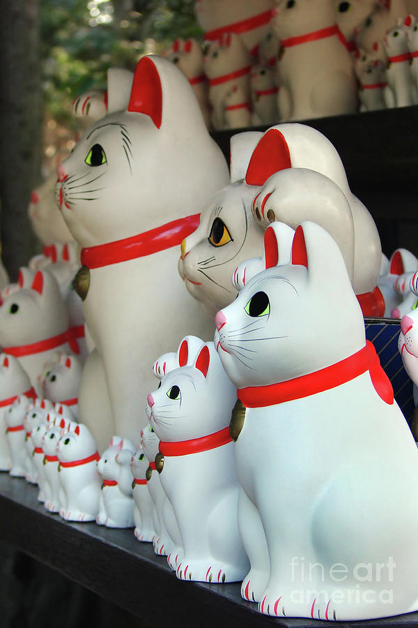 Lucky cats in Tokyo, Japan Photograph by Delphimages Photo Creations