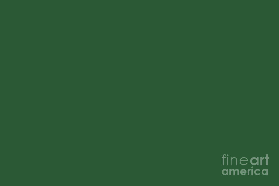 Lucky Dark Green Solid Color Pairs To Sherwin Williams Shamrock SW 6454 Digital Art by PIPA Fine Art - Simply Solid