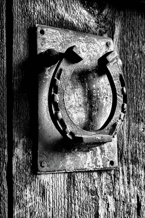 Lucky Knock Photograph by Sally Bauer
