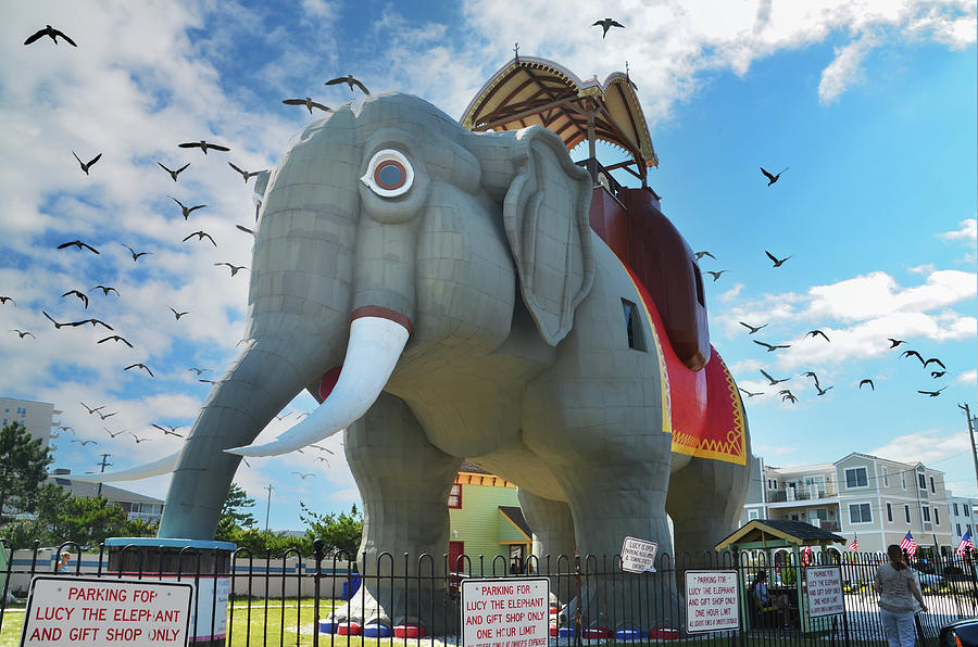 Lucy The Elephant at Margate New Jersey Photograph by Bill Cannon