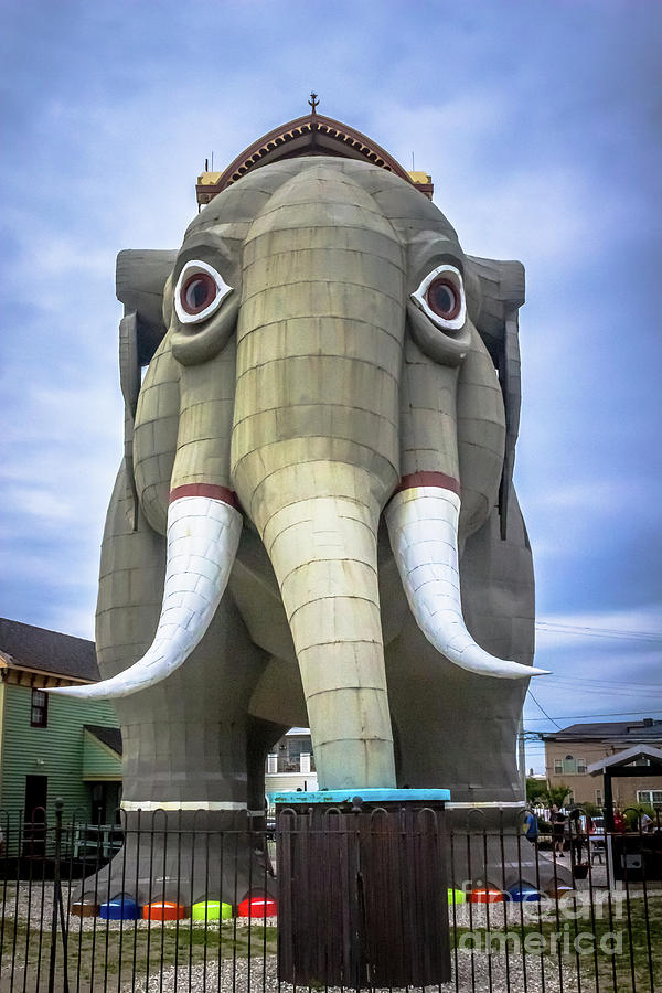 Lucy the Elephant Photograph by Colleen Kammerer