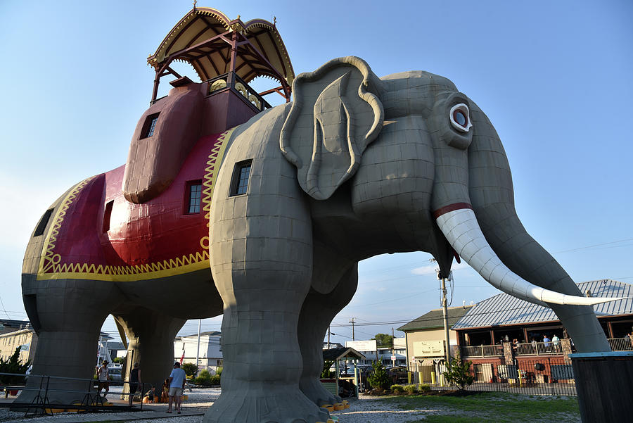 Lucy the Margate Elephant Photograph by Mark Stout