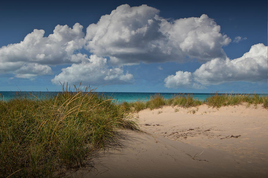 Ludington Sand Dune with Beach Grass by Lake Michigan  Photograph by Randall Nyhof