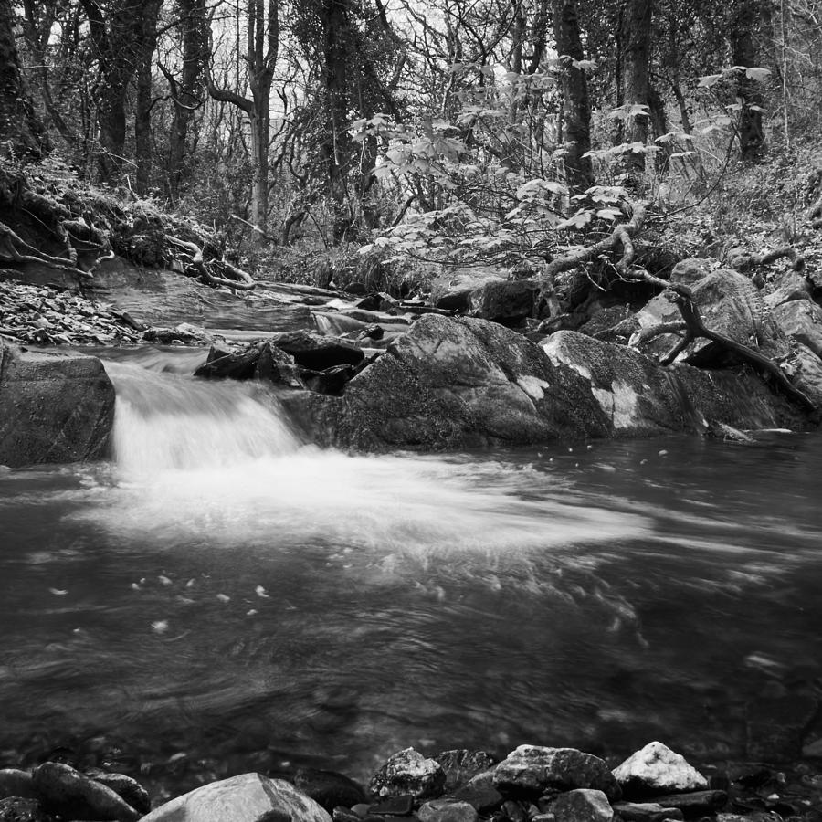 Black And White Photograph - Ludon Valley Pool by Bear R Humphreys Black And White Photograph - Ludon Valley Pool by Bear R Humphreys