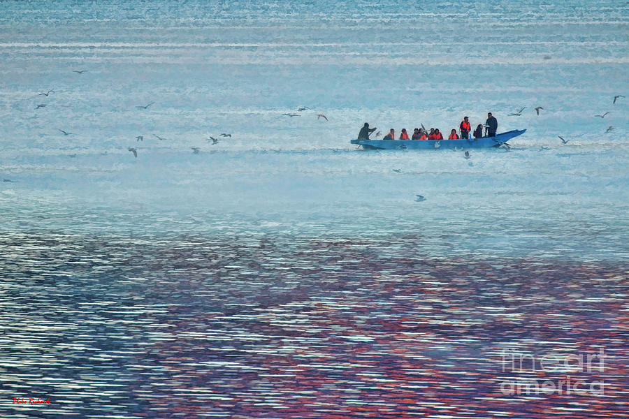 Lugu Lake Tour Boat  Seagulls Photograph by Blake Richards