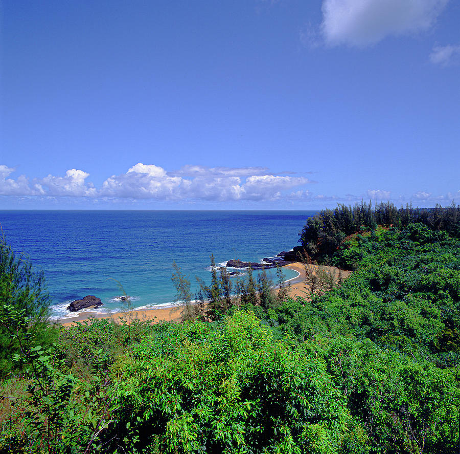Lumahai Beach Kauai Photograph by David L Moore