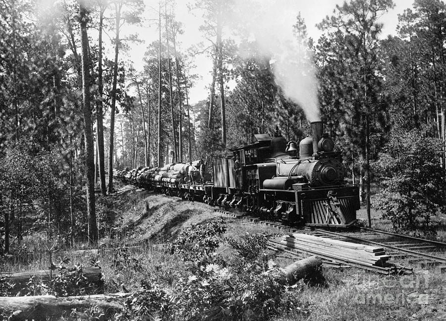Lumber Railroad, c1910 Photograph by Granger