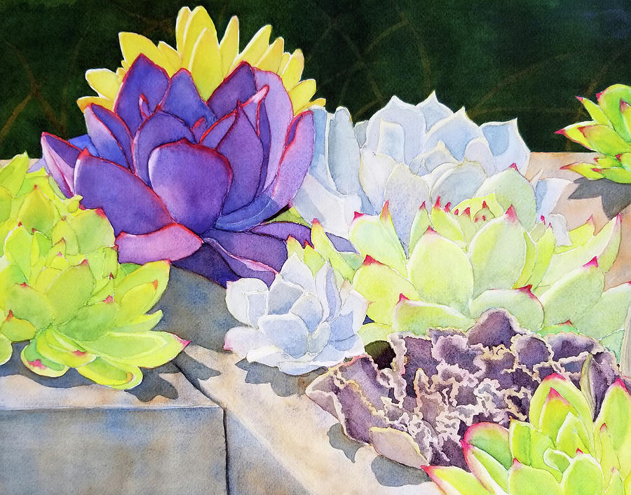 Succulents Painting - Luminary by Judy Mercer