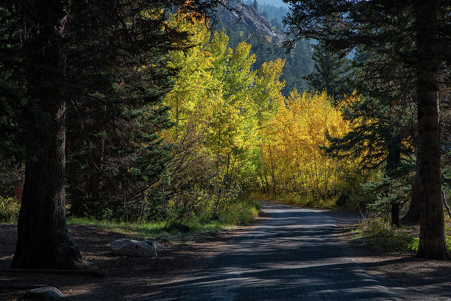 Rocky Mountain National Park Photograph - Luminescence by Darlene Bushue