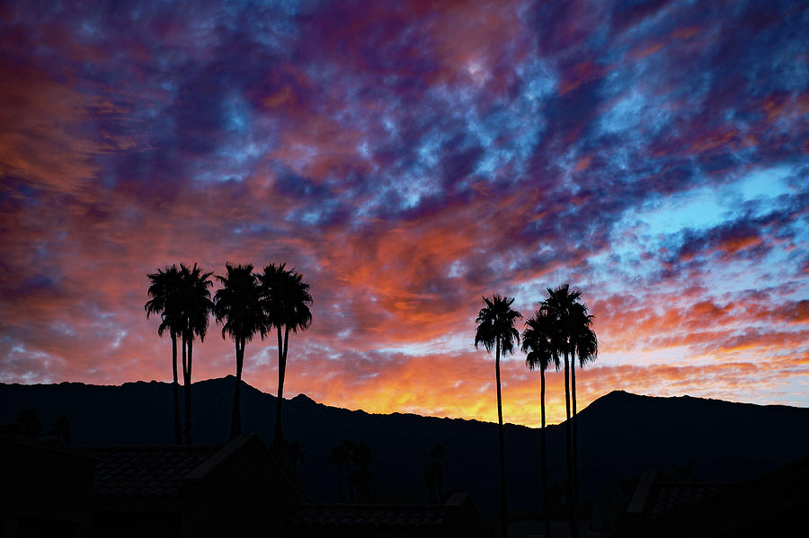 Luminous Desert Sunset Skies Behind Palm Trees, Palm Desert California Photograph by Bonnie Colgan