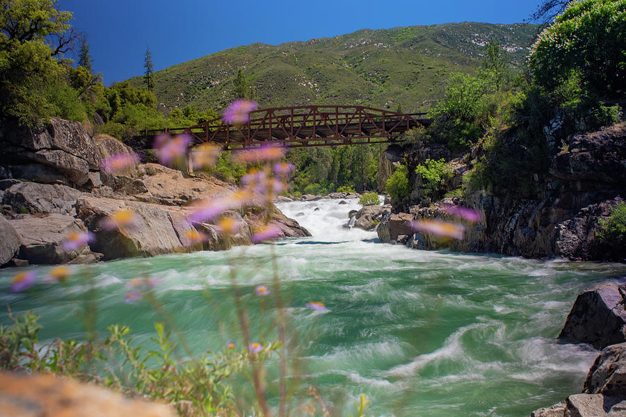 Lumsden Bridge Photograph by Mark Landsfeld Fine Art America