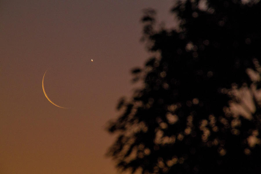 Luna and Venus Photograph by John Meader