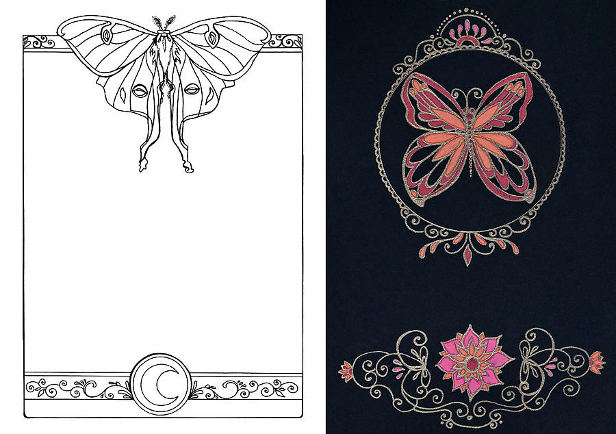 Luna Moth and Neon Butterfly Drawing by Katherine Nutt
