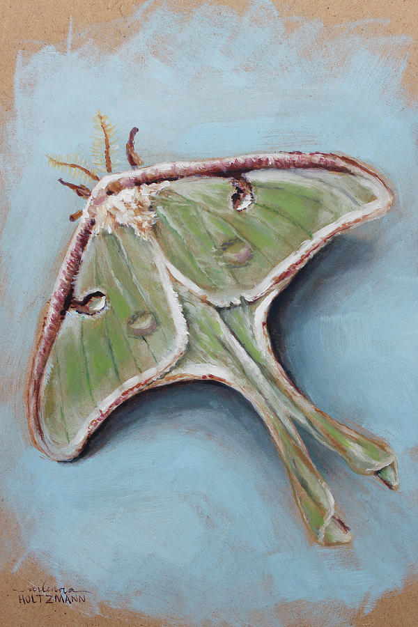 Luna Moth Painting by Arleana Holtzmann