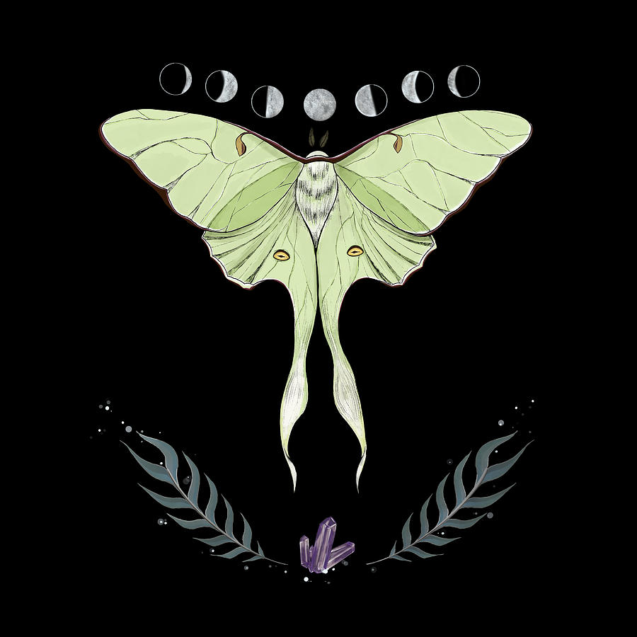 Luna Moth Digital Art by Sharon Ziv - Pixels