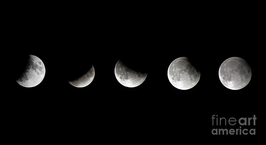 Lunar Eclipse 2 Photograph by Nina Ficur Feenan