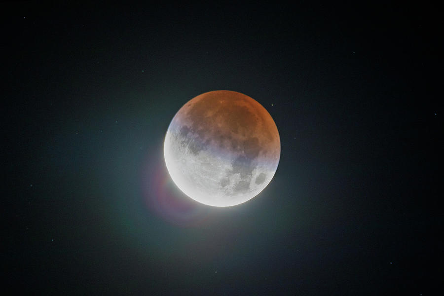 Lunar Eclipse 2021 Photograph by David Beechum