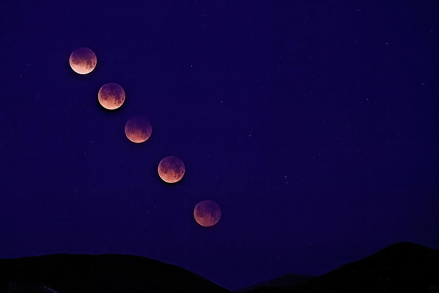 Lunar Eclipse Photograph - Lunar Eclipse  by Bob Falcone