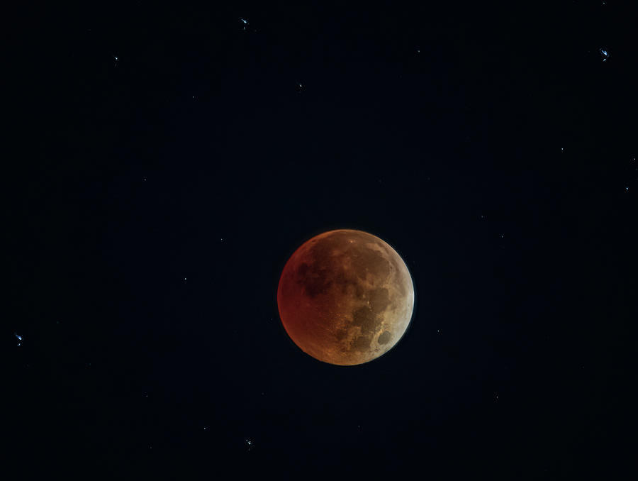 Lunar Eclipse  Photograph by Brian Shoemaker