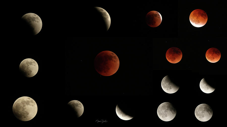 Lunar Eclipse Collage Photograph by Dennis Becht - Fine Art America