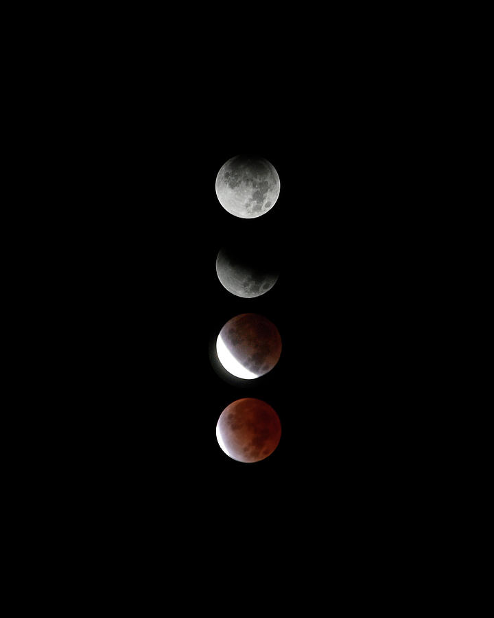 Lunar Eclipse Composite November 2021 Photograph