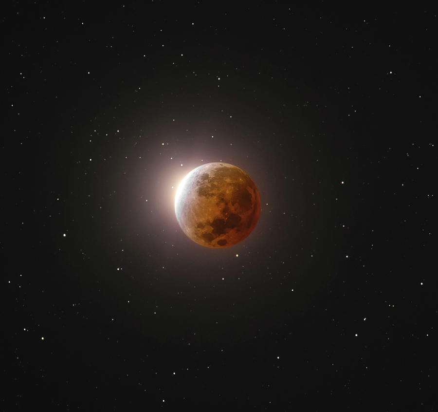 Lunar Eclipse Photograph by Grant Twiss