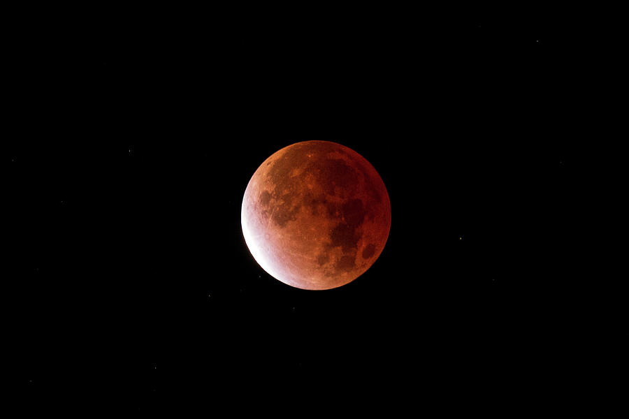 Lunar Eclipse Photograph by Paul Schultz