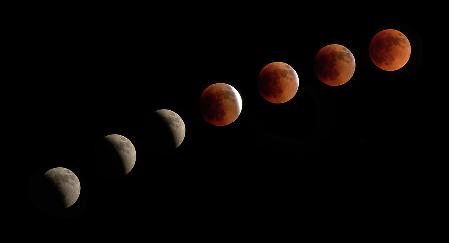 Lunar Eclipse Photograph by Robert J Wagner