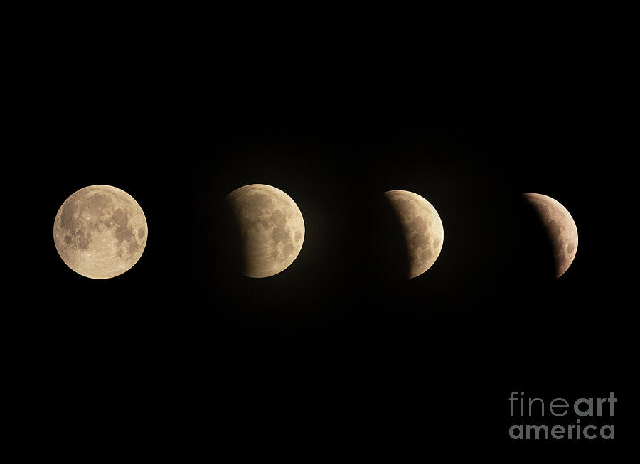 Lunar Eclipse Sequence Photograph by Maresa Pryor-Luzier