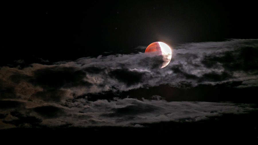 Lunar Moon 2015 Photograph by Mary Lee Dereske