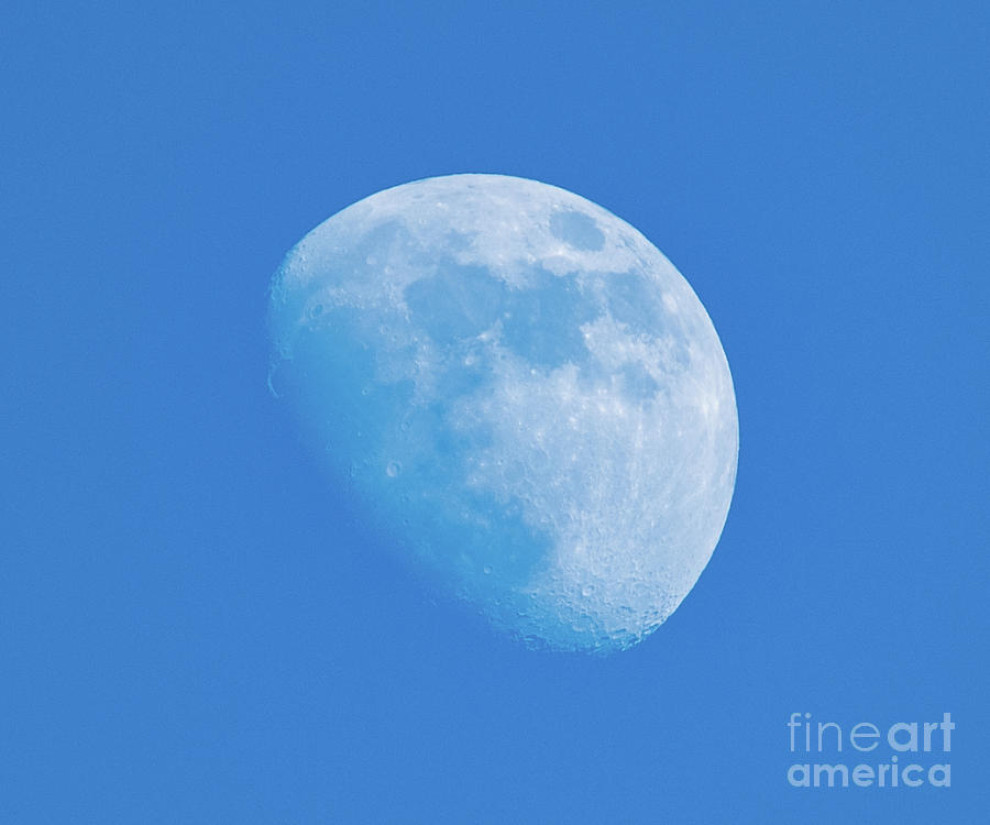 Lunar Phase Photograph by Nick Boren