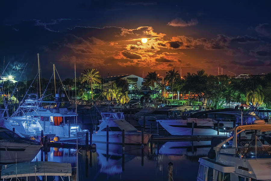 Lunar Reflections A Captivating Moonrise at Palm Beach Gardens M Photograph by Kim Seng