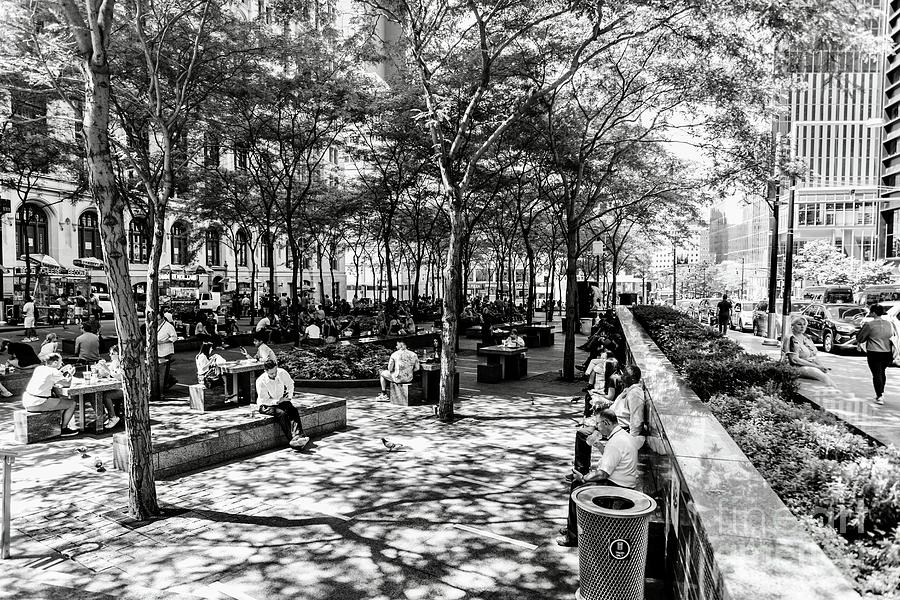 Lunchtime at the park Photograph by Reynaldo BRIGANTTY