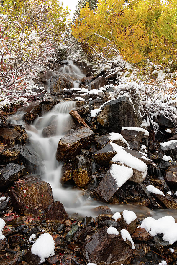 Lundy Canyon falls surrounded by autumn colors after a fresh snow