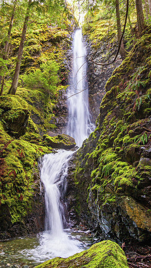 Lupin Falls Photograph by Claude Dalley