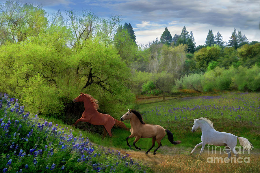 Lupin Pastures Digital Art by Melinda Hughes-Berland