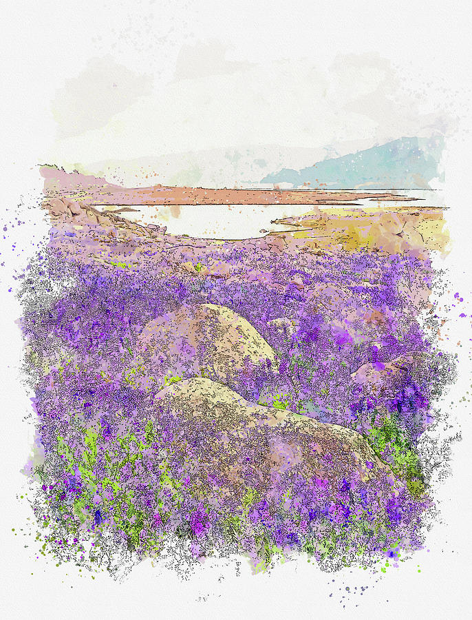 Flower Painting - Lupine Carpet and Boulders, Folsom Lake by Celestial Images